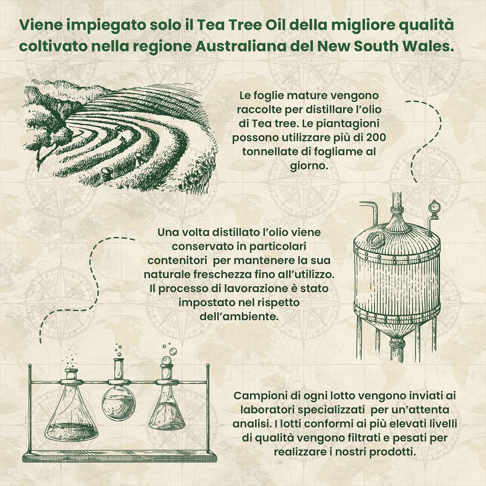 Illustrationen: Teebaumplantagen, Destillationsanlage, Laborgeräte. Herstellungsprozess.