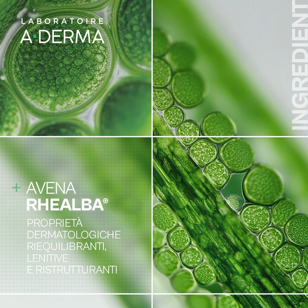 Laboratoire A-Derma mit Avena Rhealba. Mikroskopische Ansicht von Pflanzenzellen.