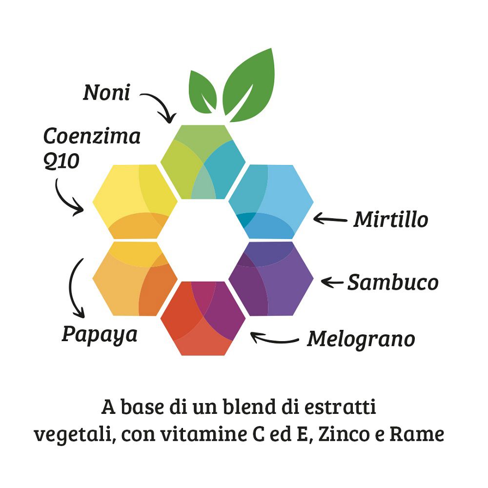 Grafik mit Inhaltsstoffen: Noni, Coenzym Q10, Papaya, Mirtillo, Sambuco, Melograno.