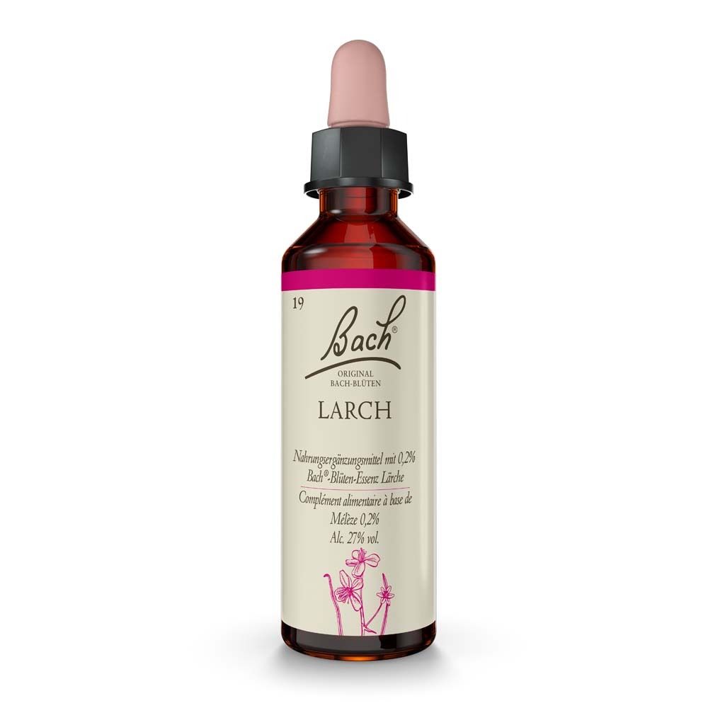 Bach®-Blüte Larch (Lärche) Tropfen 20 ml