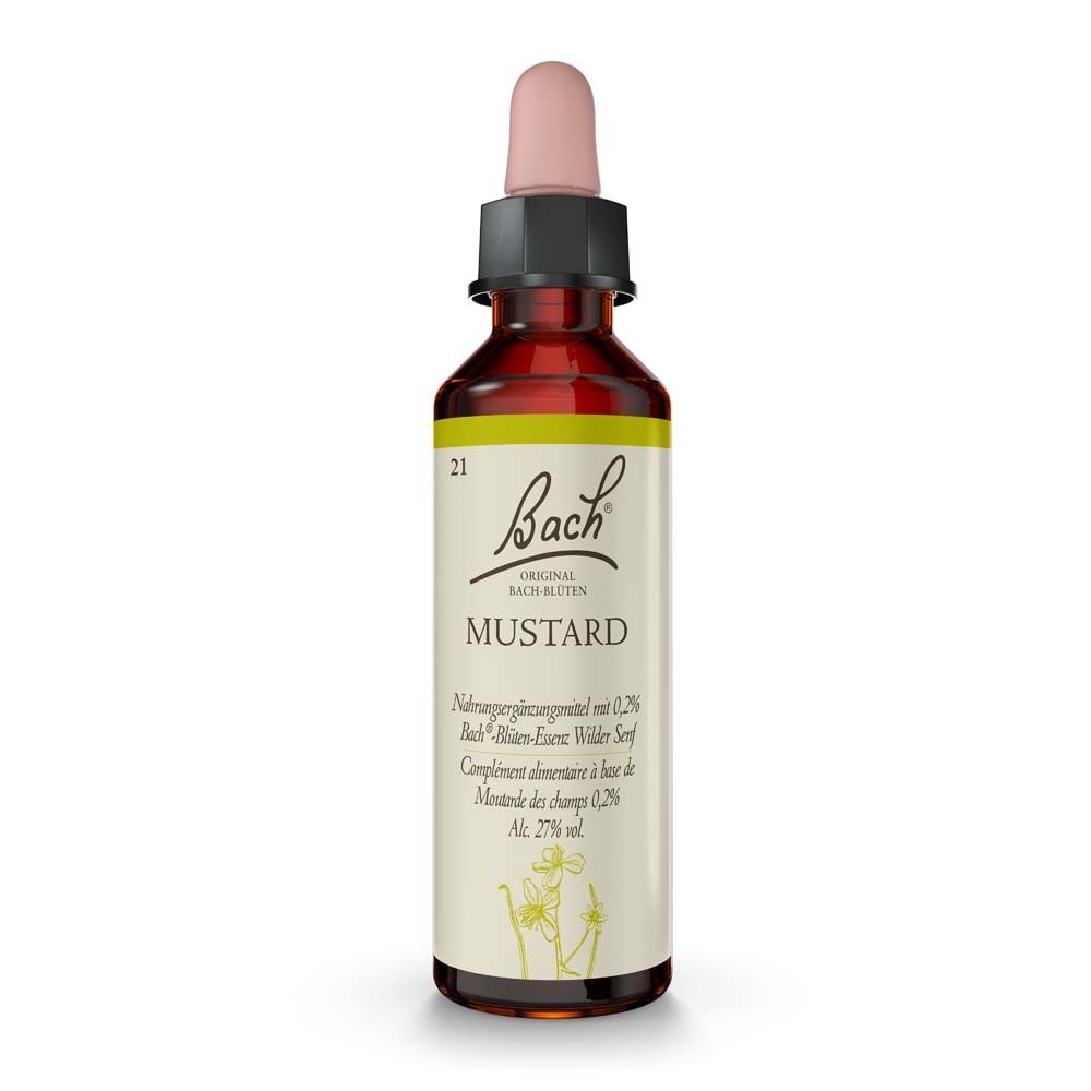 Bach®-Blüte Mustard (Wilder Senf) Tropfen 20 ml