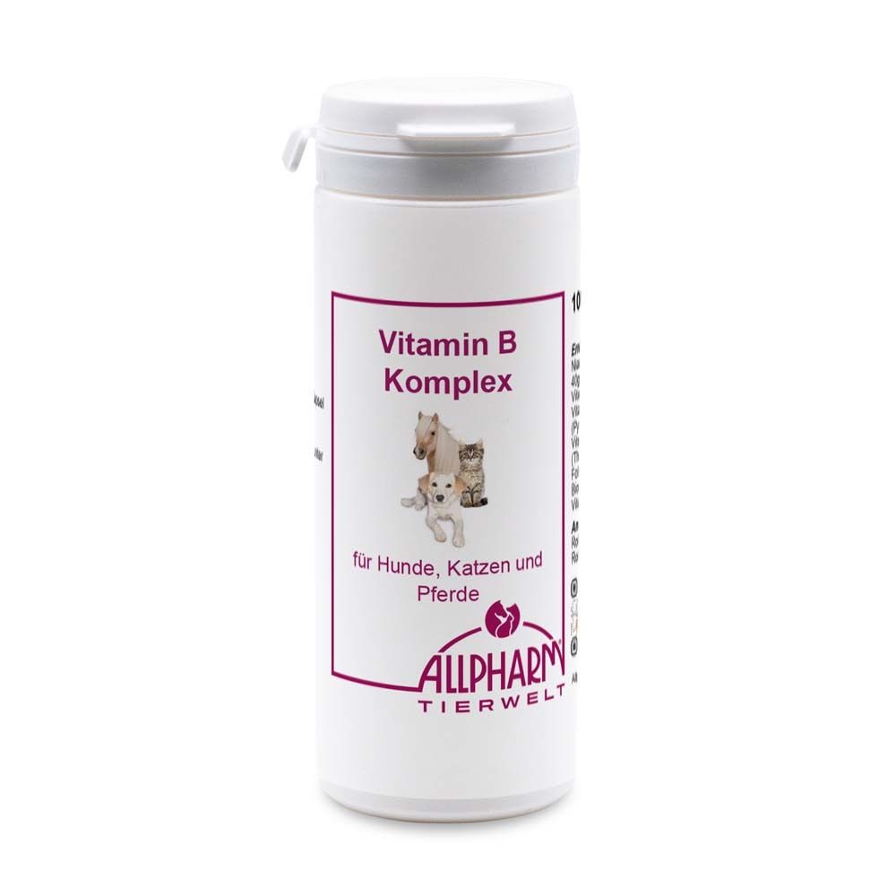 Allpharm Vitamin B Komplex Kapseln 100 St