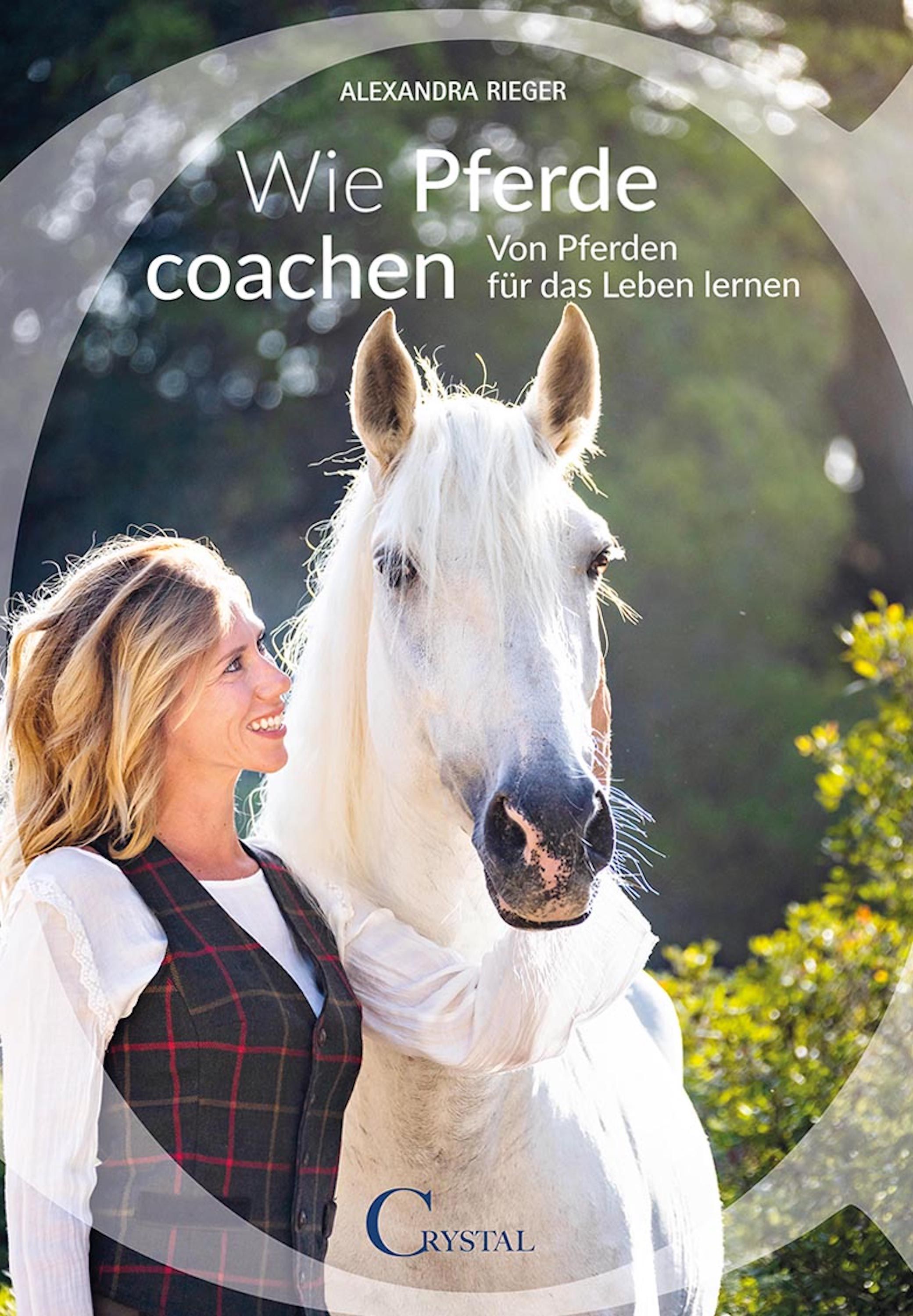 Wie Pferde coachen Buch 1 St
