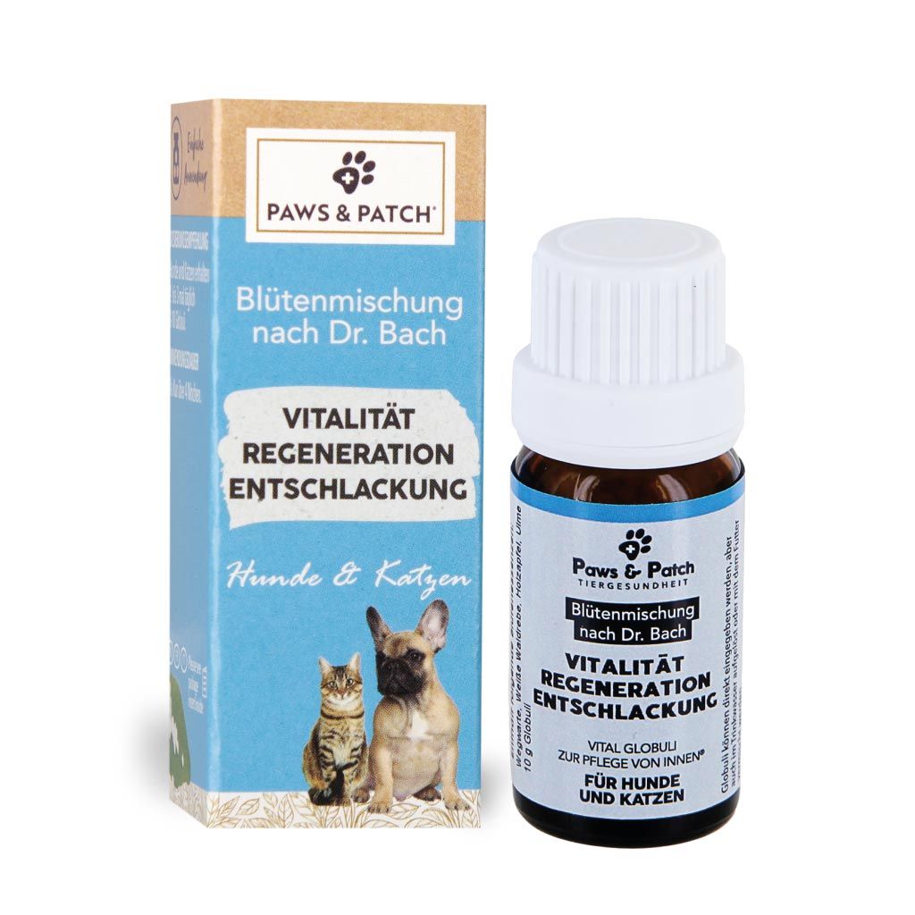 Paws & Patch Blütenmischung Nach Dr. Bach Vitalität Regeneration Entschlackung Für Hunde Und Katzen Globuli 10 G