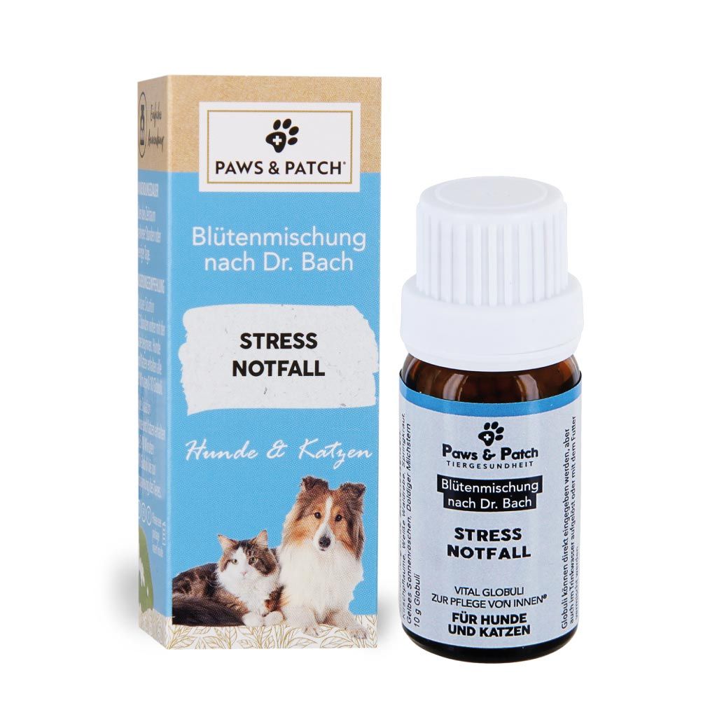 Paws & Patch Blütenmischung Nach Dr. Bach Stress Notfall Für Hunde Und Katzen Globuli 10 G