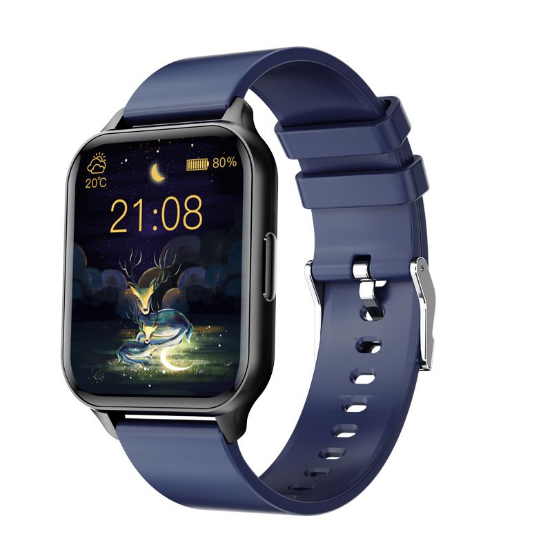 360GradFitness FITSmartWatch Pro2 1 St