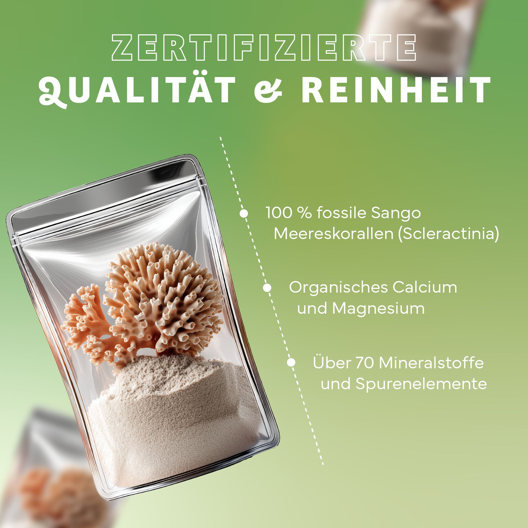 Transparente Verpackung mit Sango-Korallen und Pulver. Text: Zertifizierte Qualität & Reinheit, 100% fossile Sango Meereskorallen, organisches Calcium und Magnesium.
