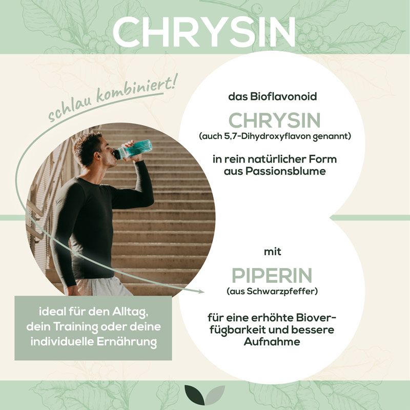 Infografik mit Mann, der Getränk trinkt. Informationen zu Chrysin und Piperin. Ideal für Alltag, Training und Ernährung.