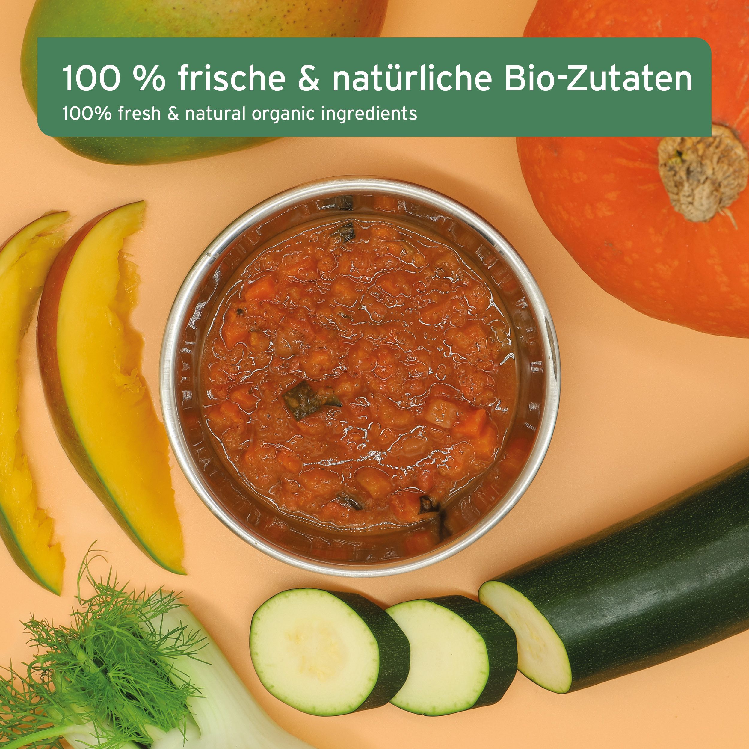 AniForte BIO BARF Püree - Fenchel & Mango 5 x 150g