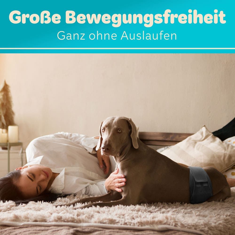 Hund mit schwarzer Windel liegt auf Bett. Frau liegt daneben. Text: Große Bewegungsfreiheit, ganz ohne Auslaufen.