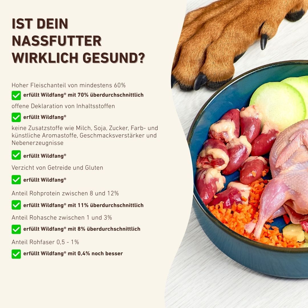 Dose Nassfutter Lamm pur, BARF Qualität, mit Hinweisen zu gesunder Hundenahrung.