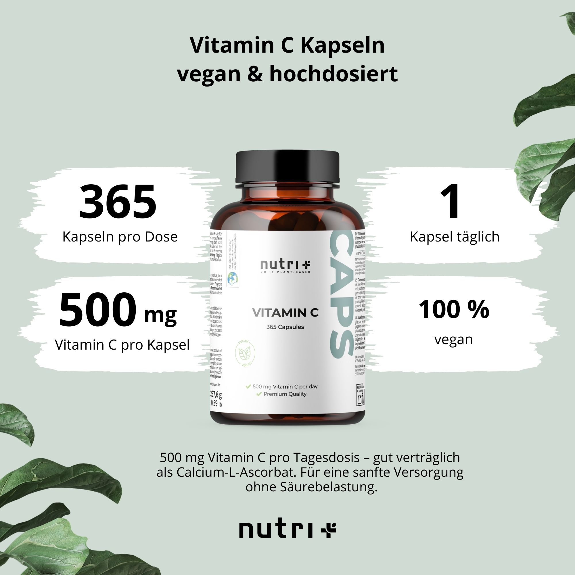 Grafik mit Flasche Vitamin C Kapseln. Text: 365 Kapseln, 500 mg Vitamin C, 1 Kapsel täglich, 100% vegan. Gut verträglich.