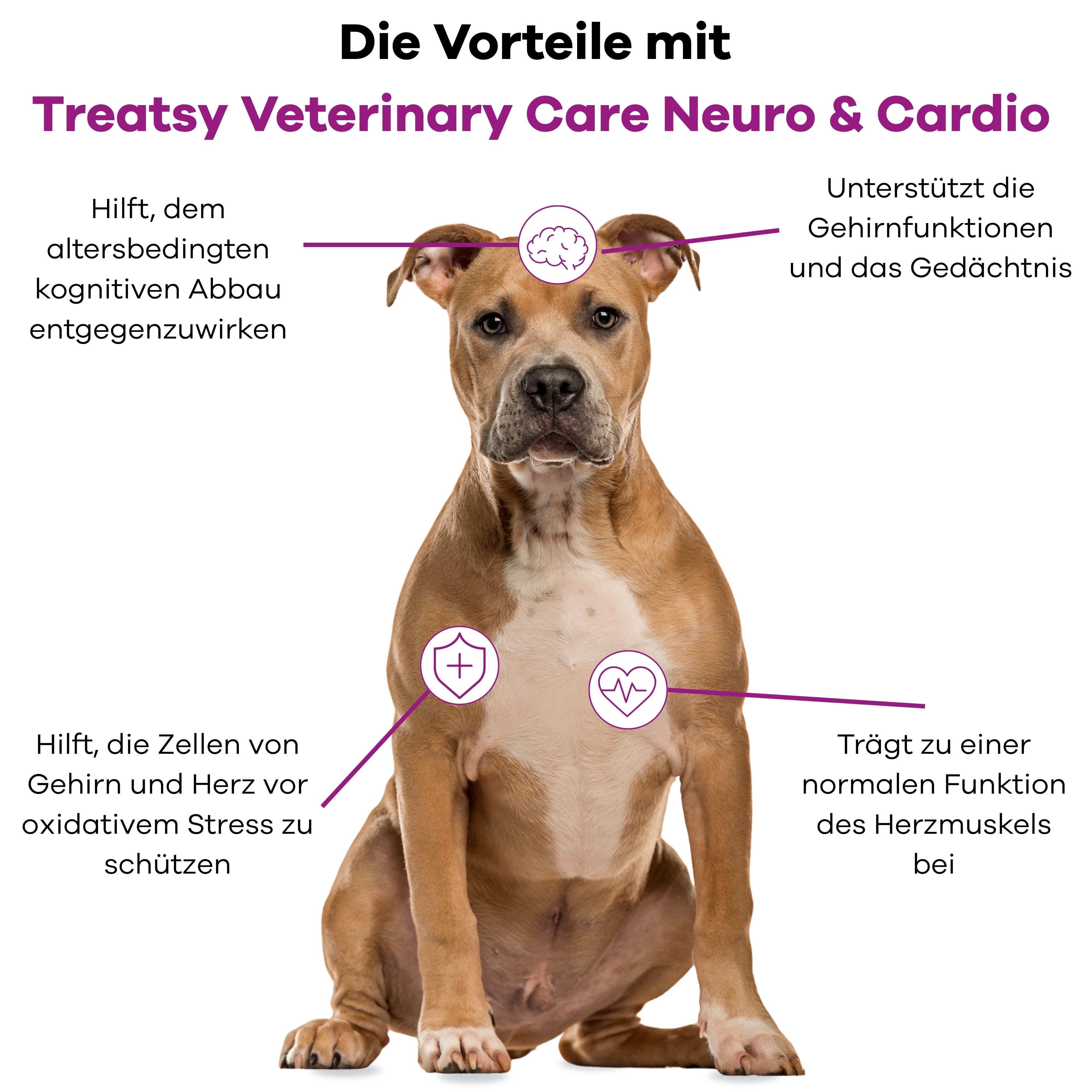 Hund mit Diagramm. Vorteile von Treatsy Veterinary Care Neuro & Cardio. Text und Symbole für Gehirn und Herz.