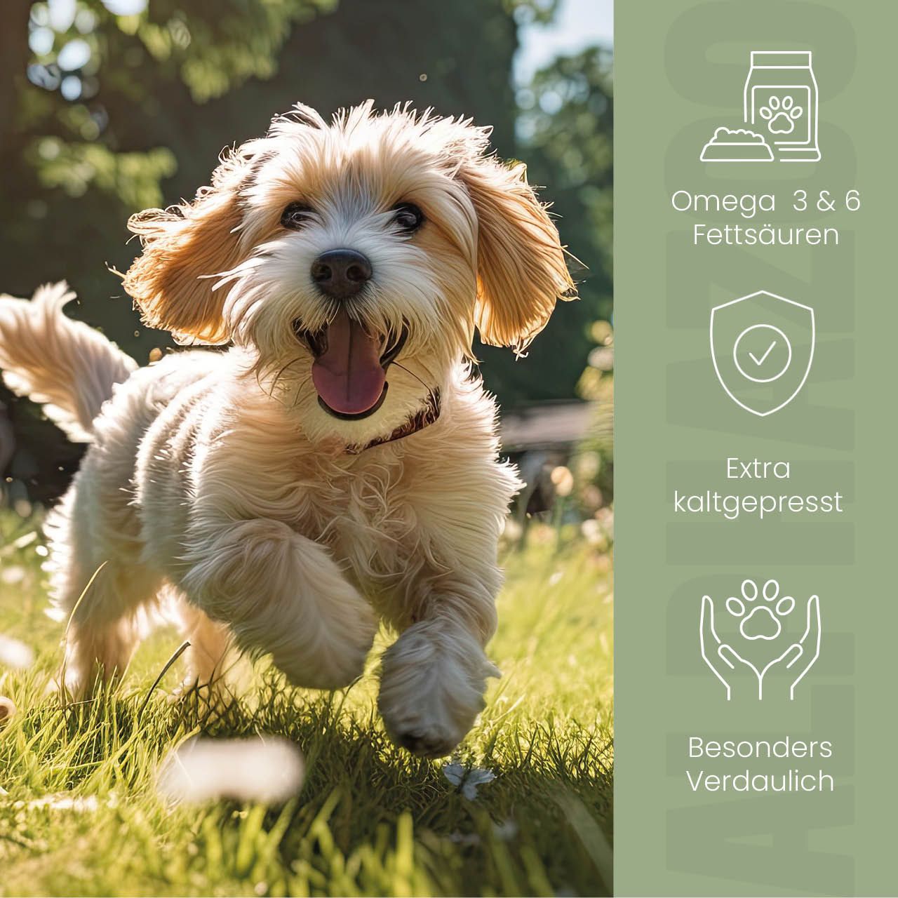 Hund rennt auf Wiese. Icons: Omega 3 & 6 Fettsäuren, extra kaltgepresst, besonders verdaulich.