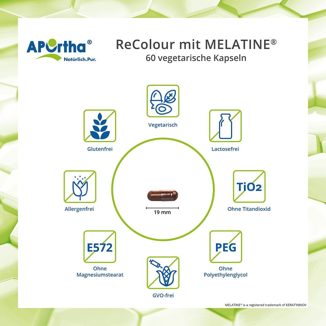 Grafik mit Kapsel und Symbolen: glutenfrei, vegetarisch, laktosefrei, ohne Titandioxid, ohne PEG, ohne Magnesiumstearat, GVO-frei, 19 mm.