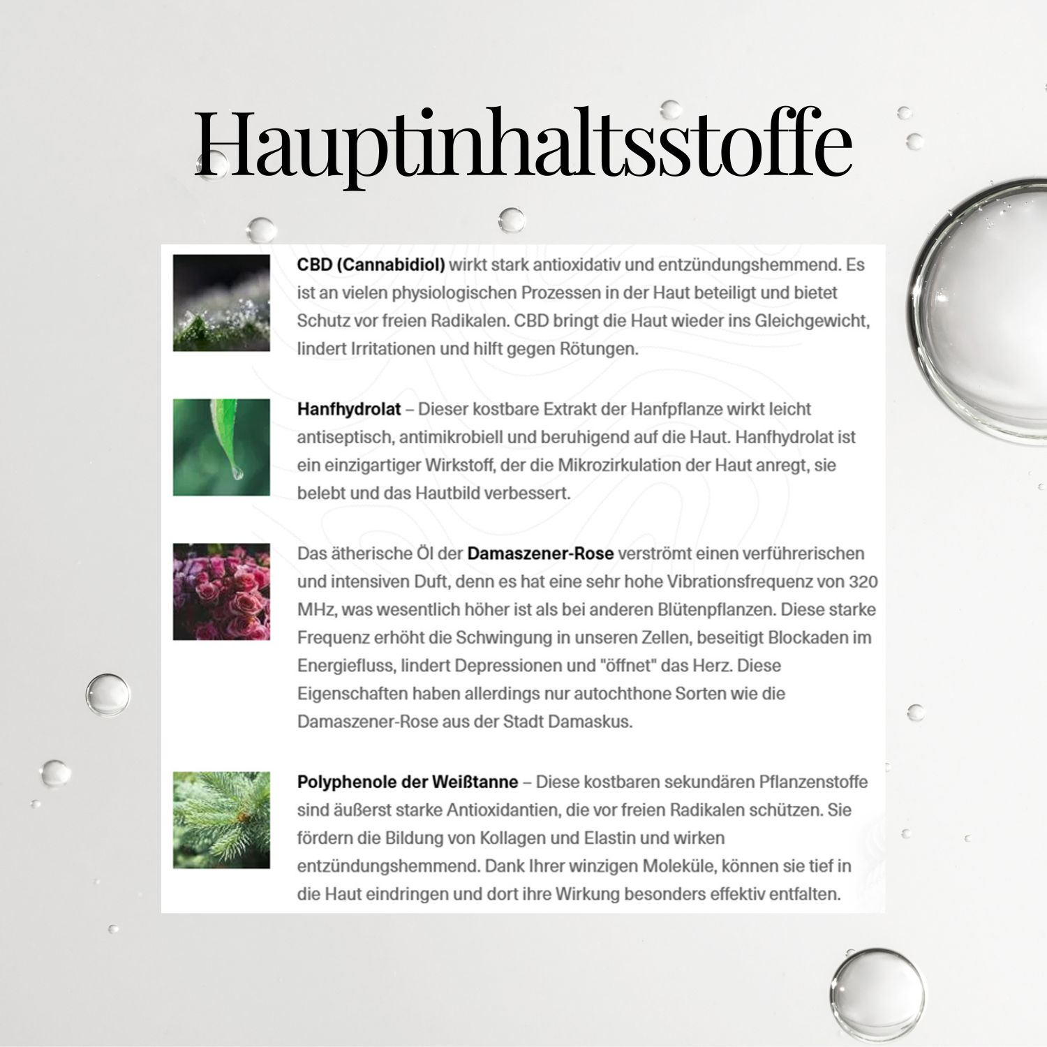 Infografik mit Inhaltsstoffen. Text: CBD, Hanfhydrolat, ätherisches Öl, Polyphenole. Bilder der Inhaltsstoffe.