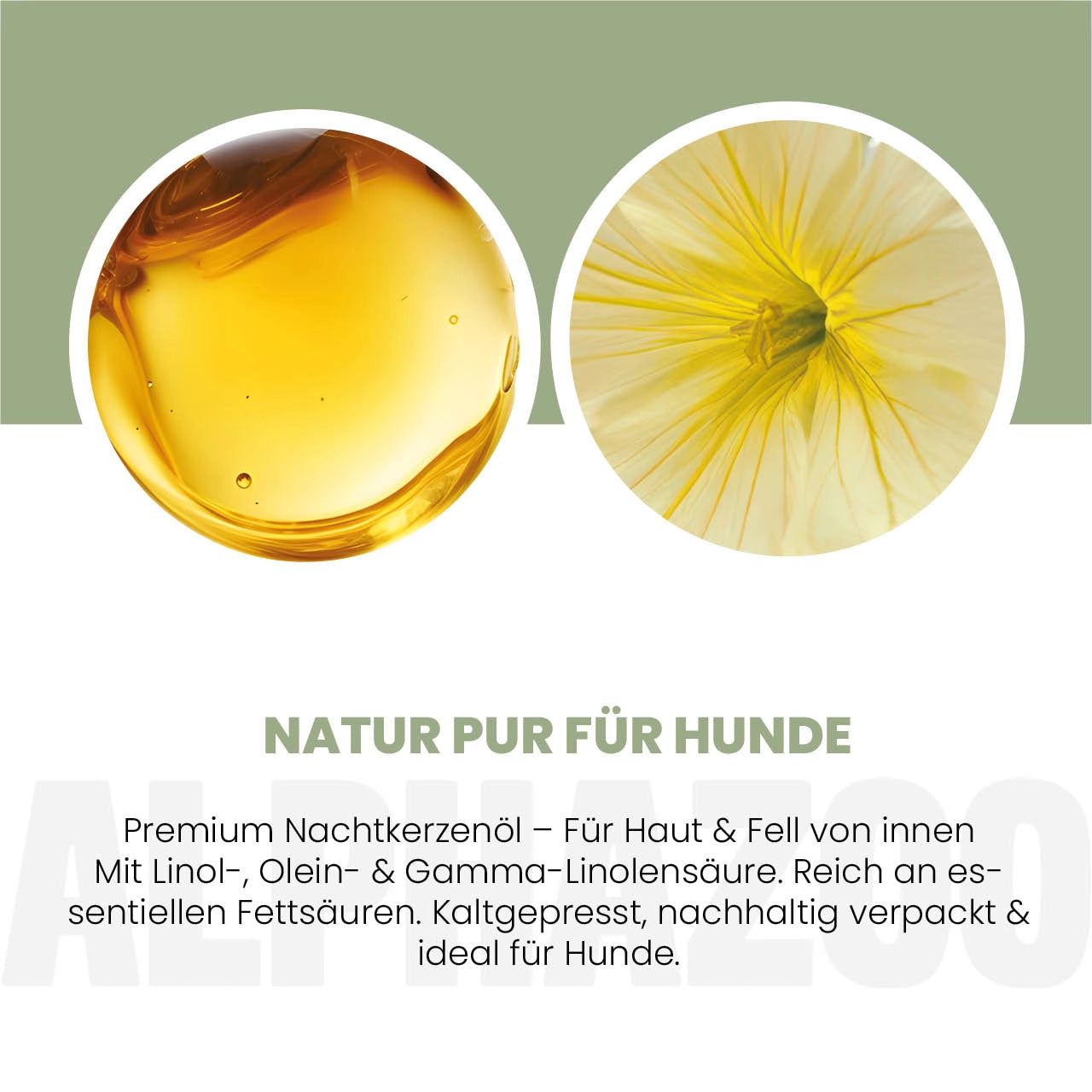 Zwei Kreise: Öl und Blüte. Text: Natur pur für Hunde. Premium Nachtkerzenöl. Kaltgepresst, nachhaltig verpackt & ideal für Hunde.
