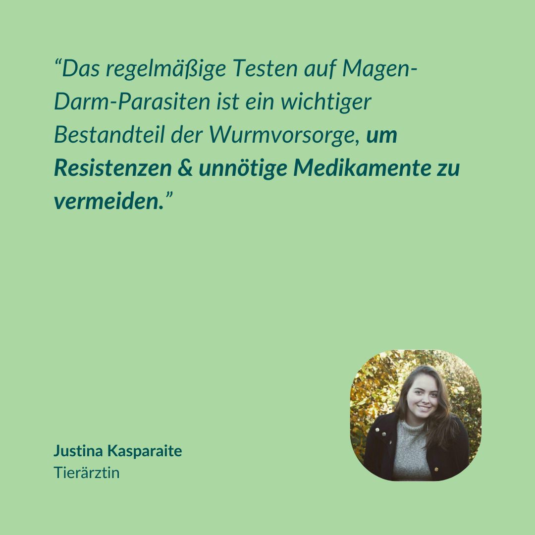 Zitat einer Tierärztin über regelmäßige Tests zur Parasitenkontrolle bei Pferden.