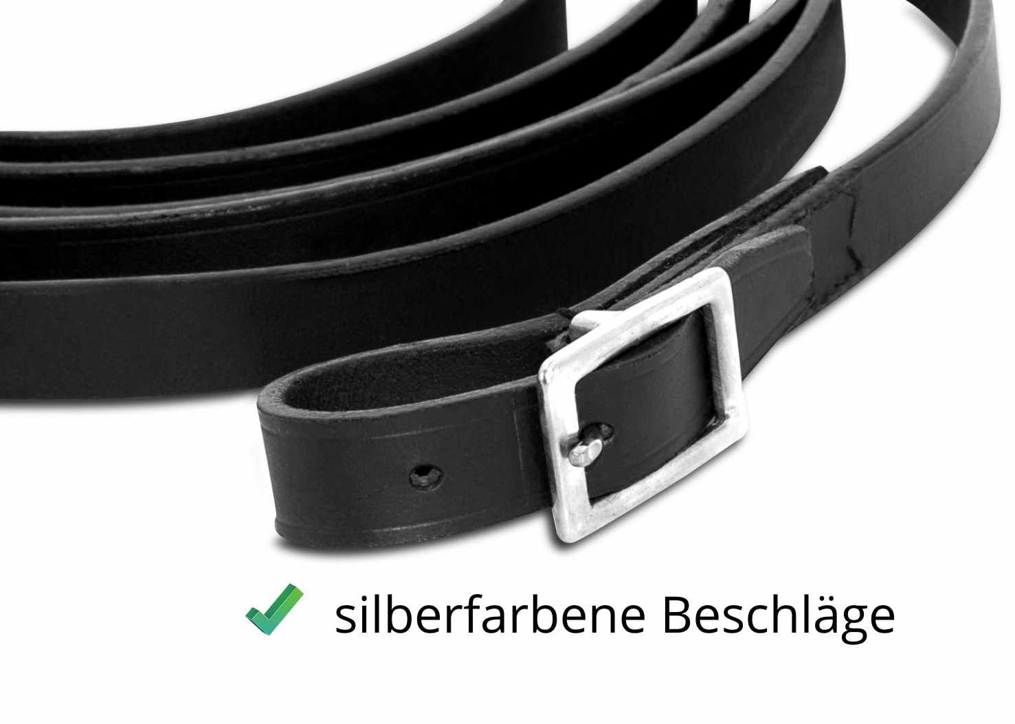 Nahaufnahme von schwarzen Lederzügeln mit silberfarbenen Beschlägen.