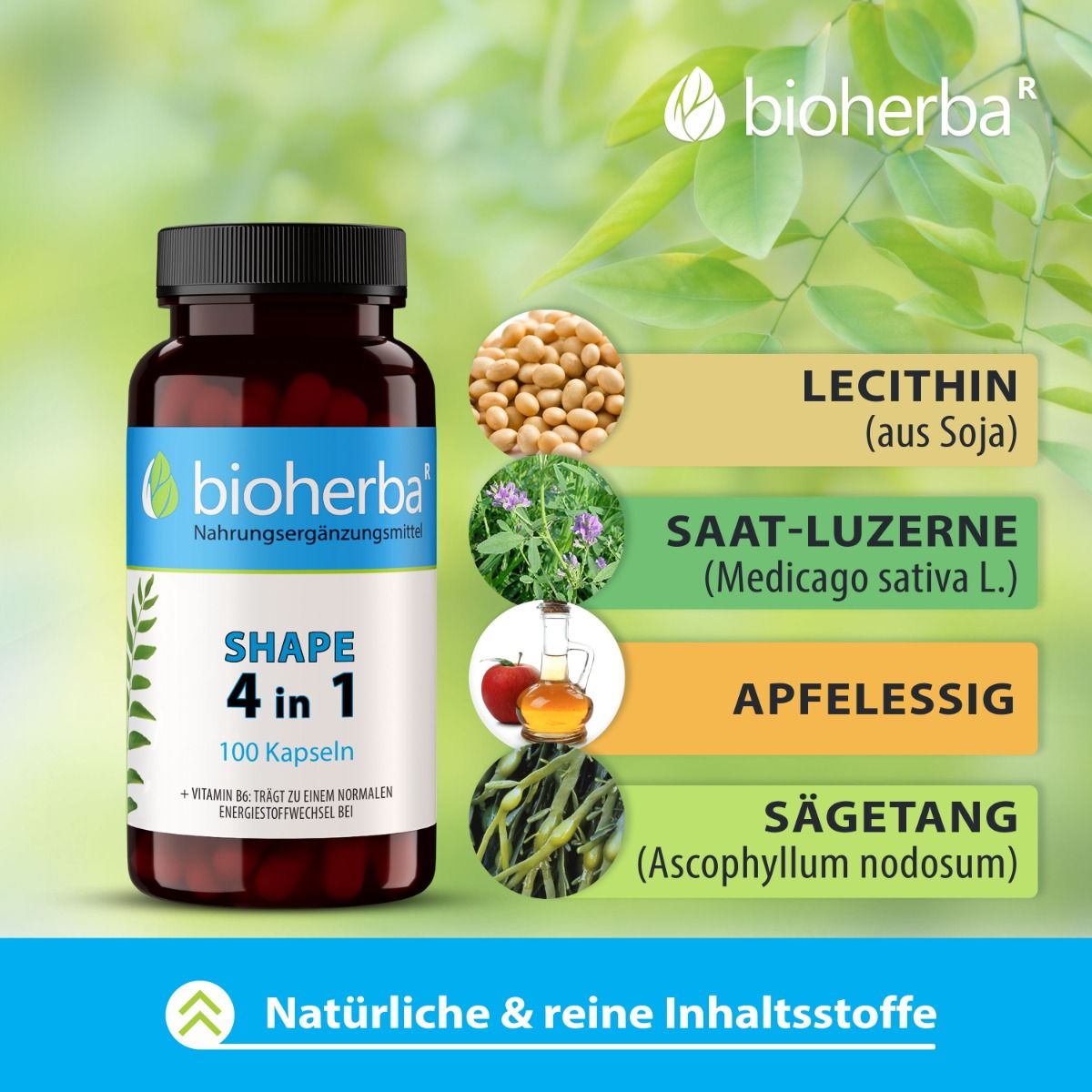 Braune Flasche mit schwarzen Deckel. Aufschrift: Shape 4 in 1, 100 Kapseln. Inhaltsstoffe: Lecithin, Luzerne, Apfelessig, Sägetang. Marke: Bioherba.