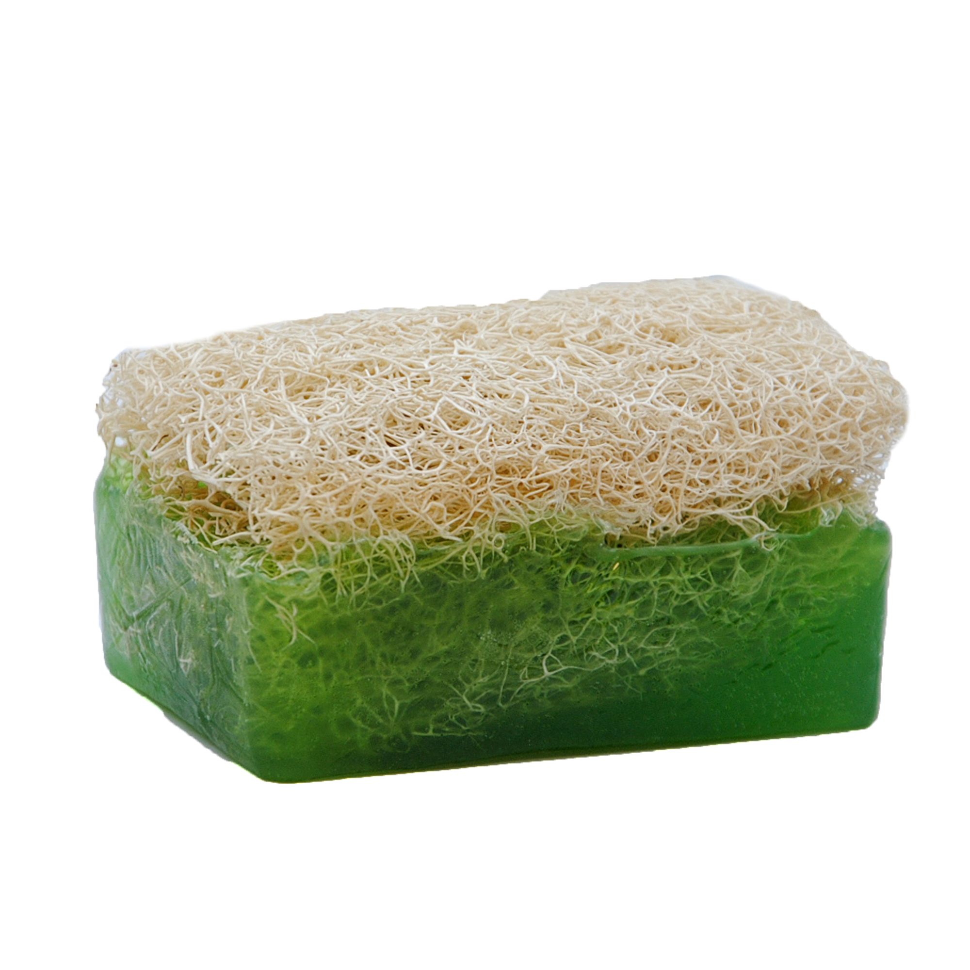 Grüne Seife mit Naturfaser-Schwamm. Rechteckige Form. Schwamm obenauf.