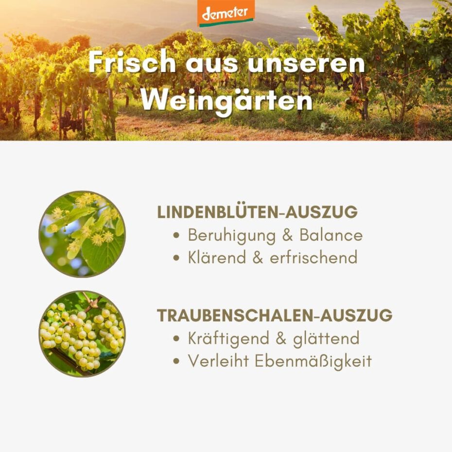 Text-Infografik mit Lindenblüten- und Traubenschalen-Auszug. Demeter-Logo oben. Hintergrund: Weinberge.