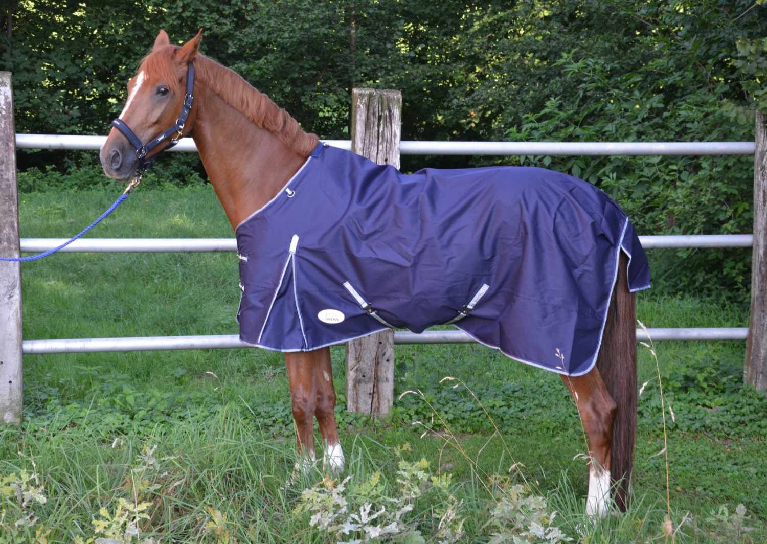 AMKA Outdoordecke Weidedecke BORAS 600D wasserdicht atmungsaktiv mit Kreuzgurte