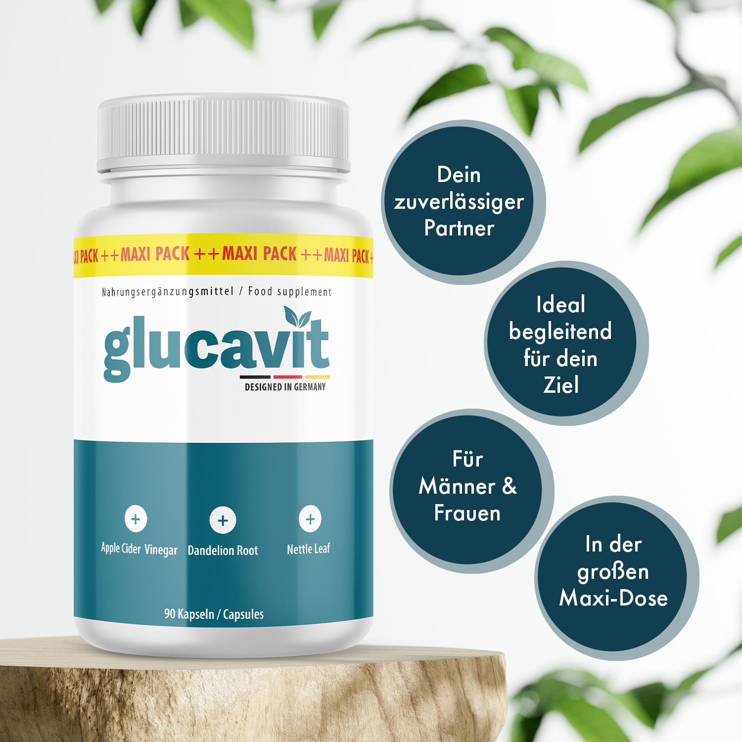Glucavit Kapseln Flasche auf Holzsockel. Text: Dein zuverlässiger Partner, Ideal begleitend für dein Ziel, Für Männer & Frauen, In der großen Maxi-Dose.