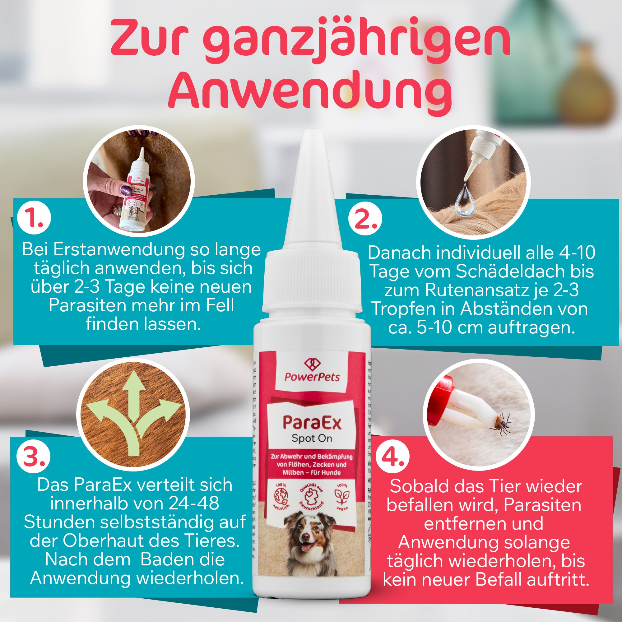 ParaEx - SpotOn für Hunde - 40ml