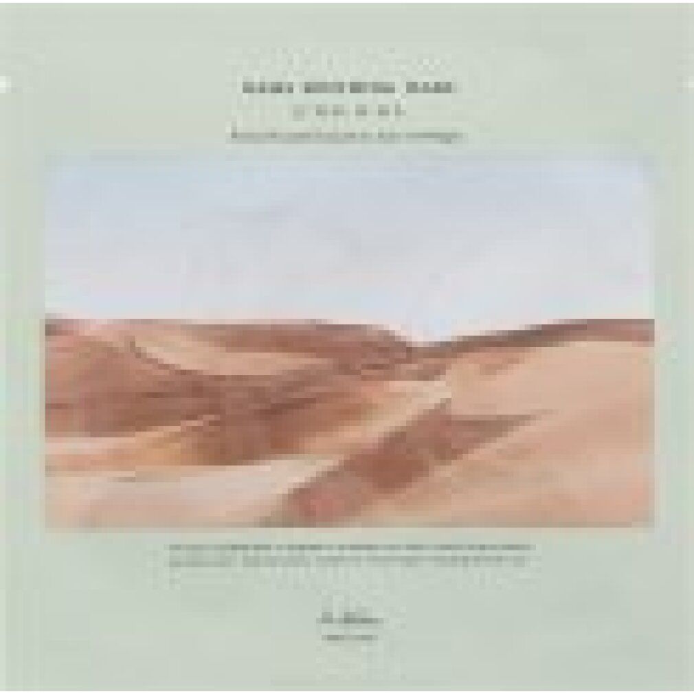 Landschaft mit Sanddünen und Himmel.