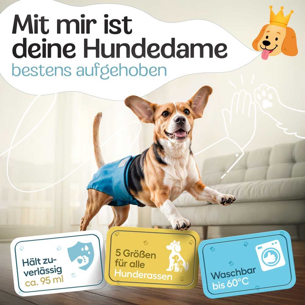 Hündin mit blauer Windel springt. Text: Hält ca. 95 ml, 5 Größen, Waschbar bis 60°C.