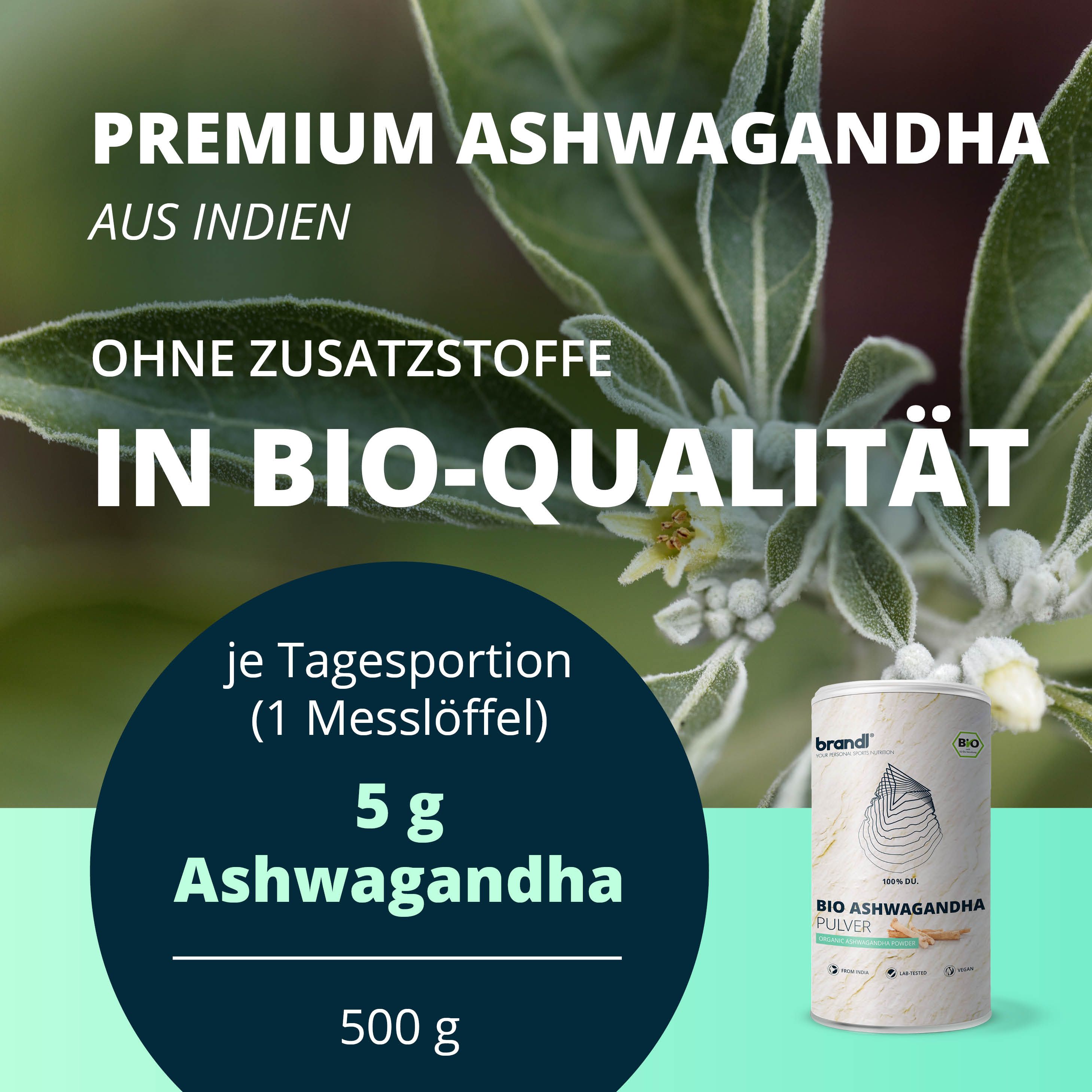 brandl® Ashwagandha Pulver Bio | Ashwagandha in Deutschland abgefüllt | Premium Ashwagandha Bio