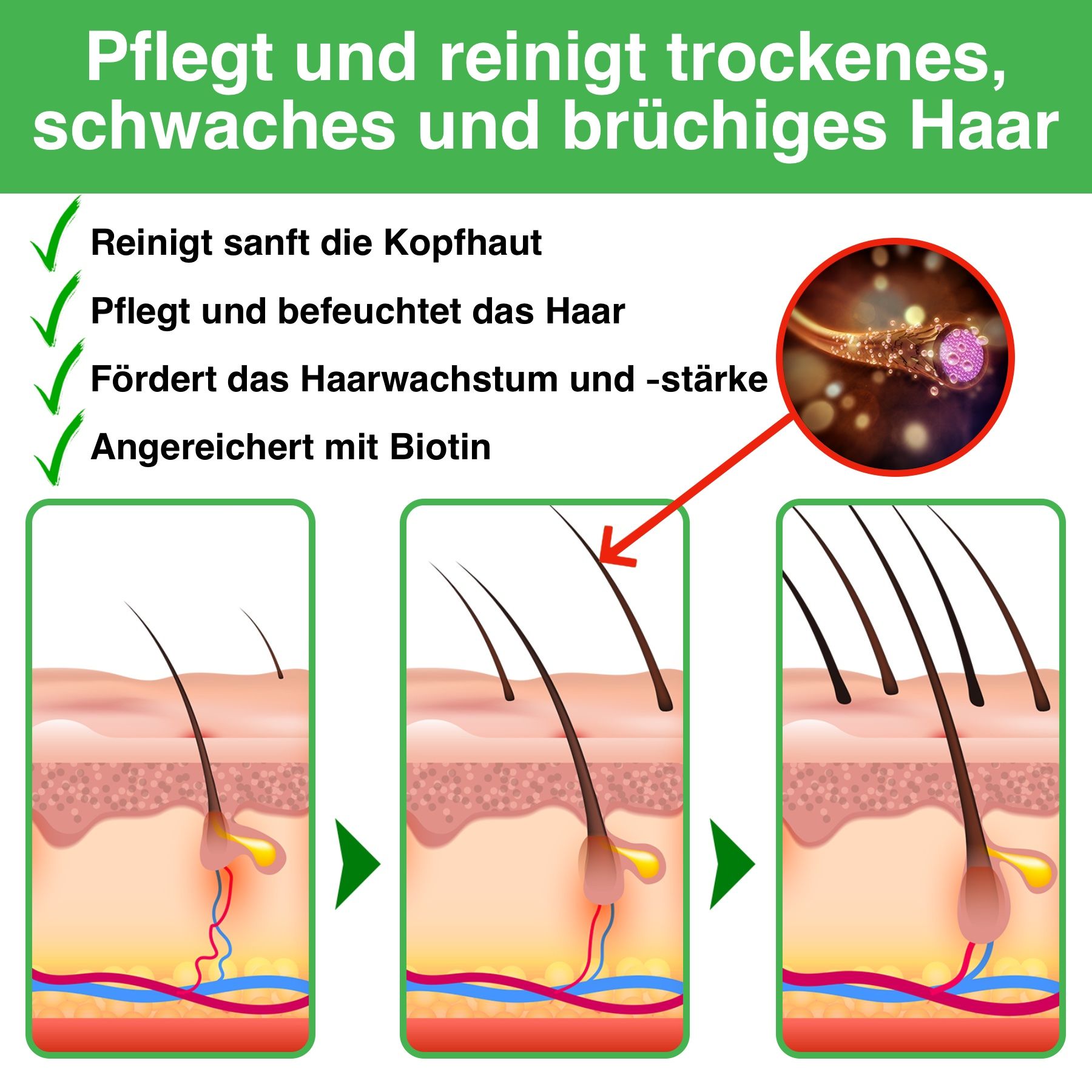 ALIVER Haarshampoo mit Rosmarinöl für Haarpflege