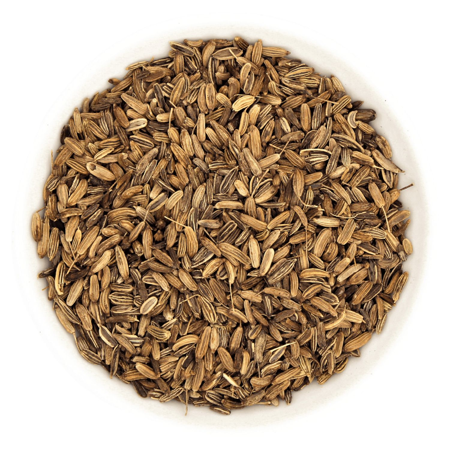 Weiße Schale gefüllt mit braunen Fenchelsamen. Draufsicht, isoliert auf weißem Hintergrund.