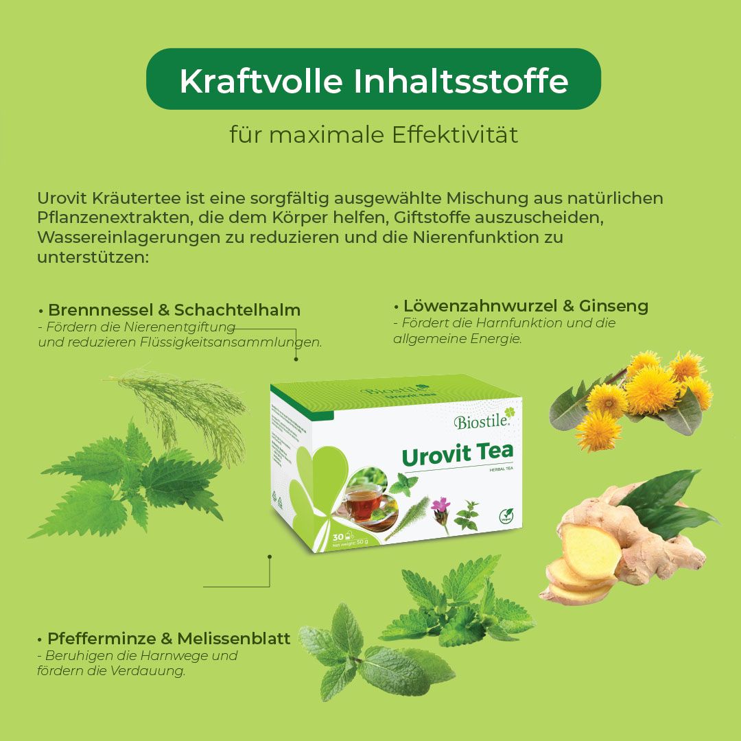 Infografik: Biostile Urovit Tee. Kräuter, Ingwer, Löwenzahn, Pfefferminze. Text: Kraftvolle Inhaltsstoffe für maximale Effektivität.