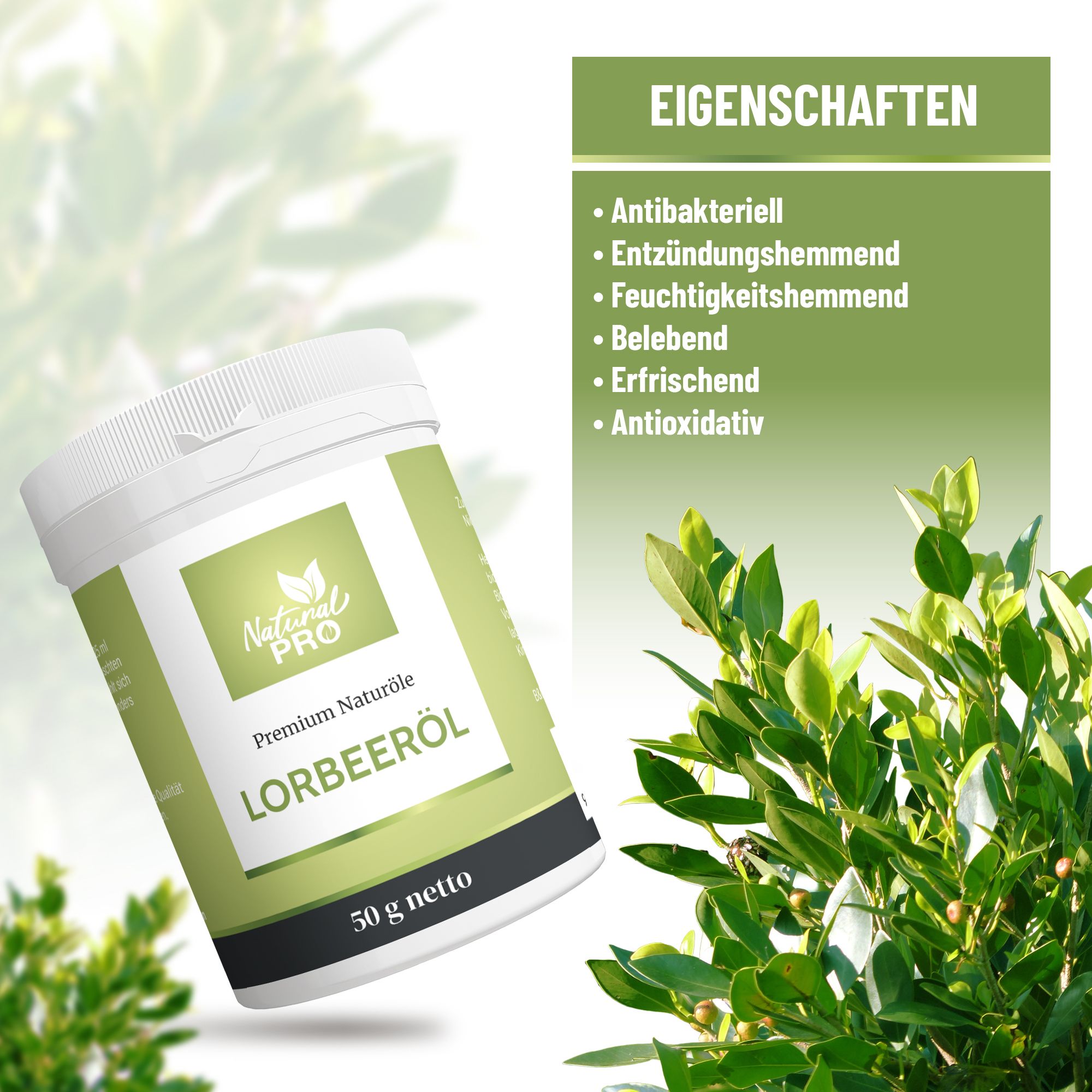 Weißer Tiegel mit grünem Etikett. Text: Lorbeeröl, 50 g netto. Eigenschaften: antibakteriell, entzündungshemmend, feuchtigkeitshemmend, belebend, erfrischend, antioxidativ.