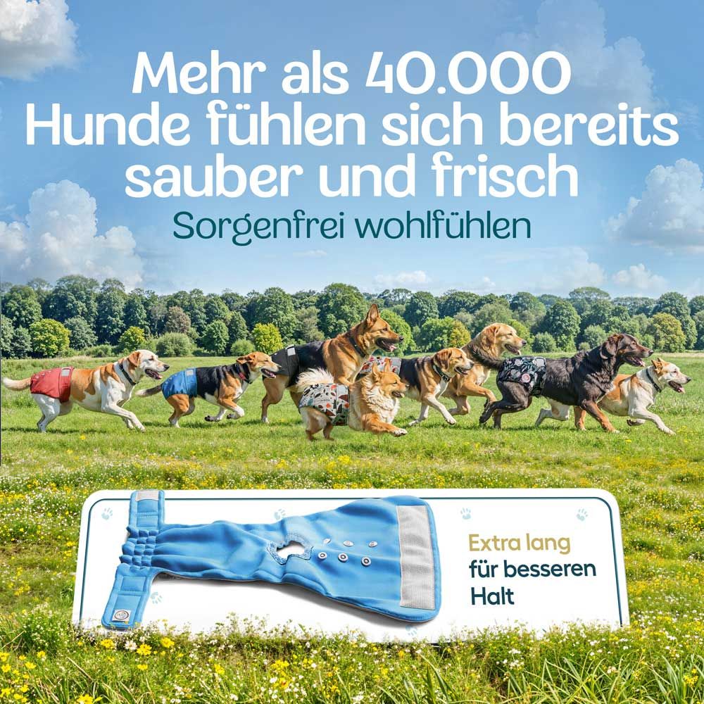 Hunde auf Wiese, tragen Windeln. Text: Mehr als 40.000 Hunde fühlen sich sauber und frisch. Extra lang für besseren Halt.