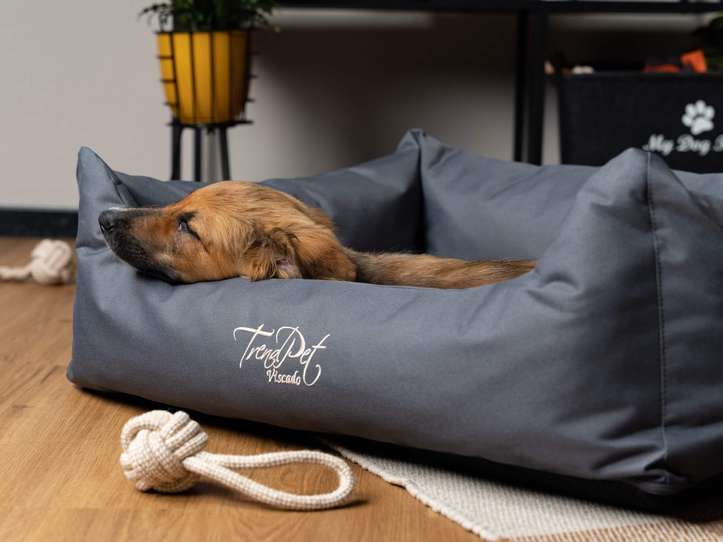 Hund liegt im grauen TrendPet Viscado Hundebett. Logo sichtbar. Daneben ein Spielzeug.