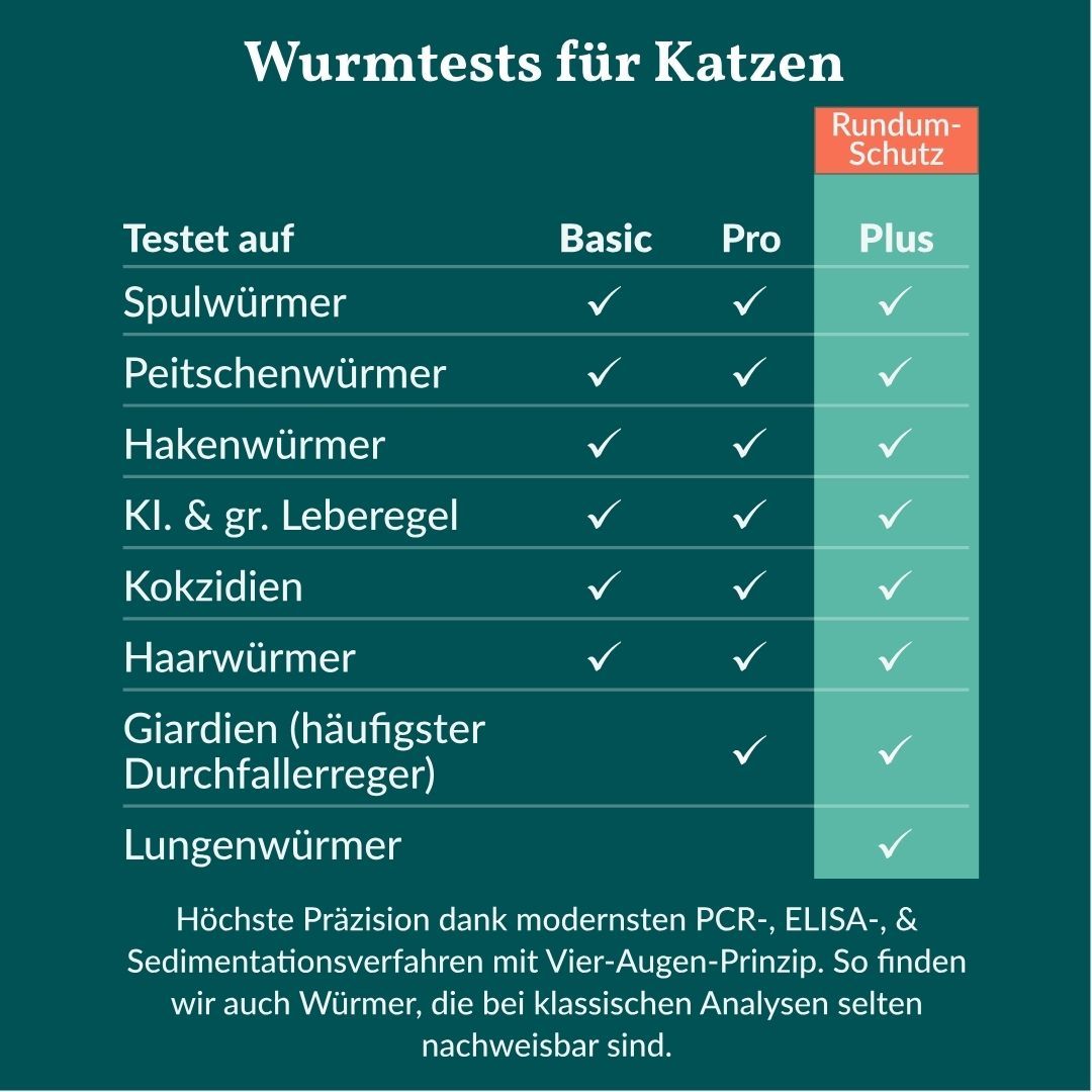 Vergleichstabelle von Wurmtests für Katzen: Basic, Pro, Plus, mit getesteten Parasiten.