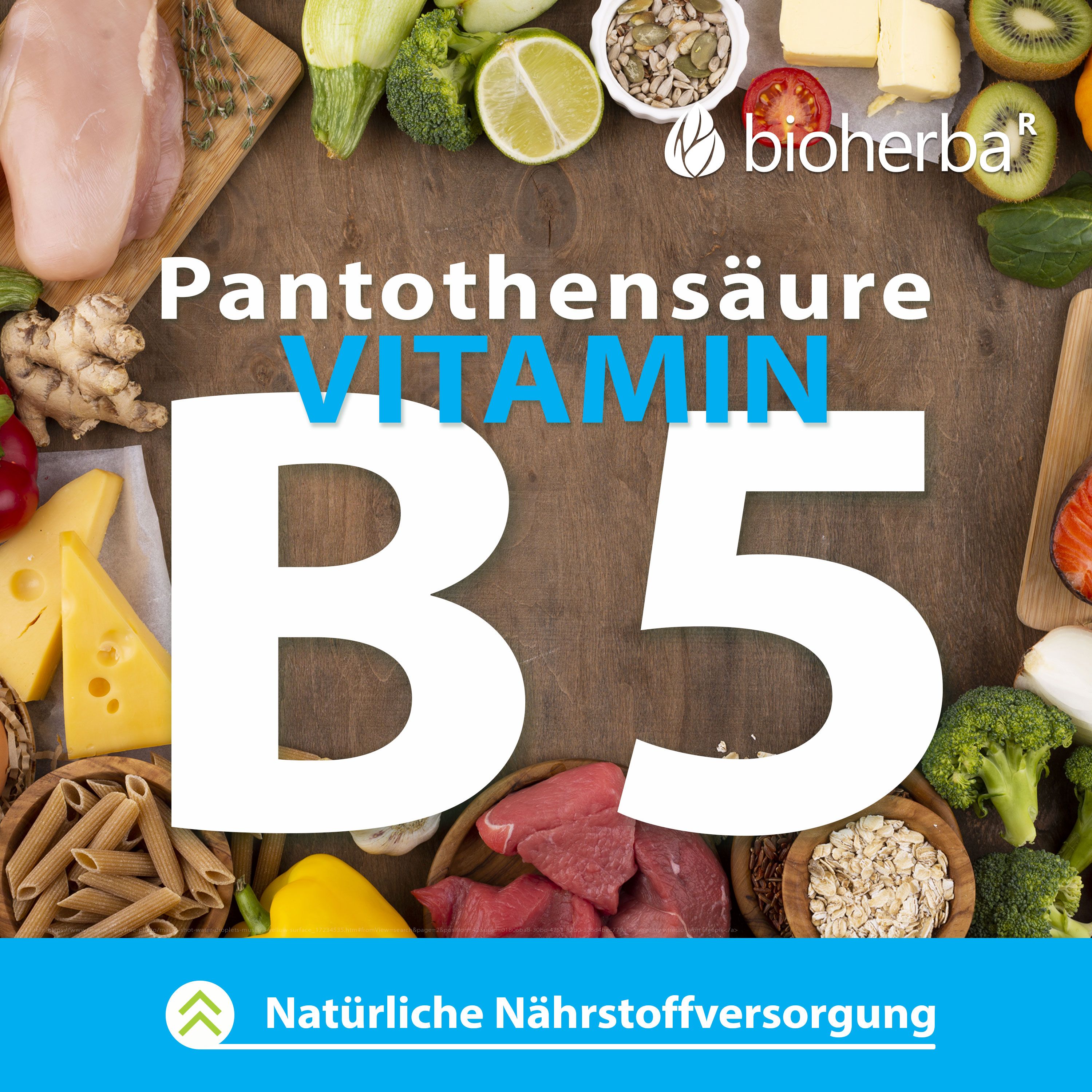 Draufsicht auf Lebensmittel. Käse, Fleisch, Gemüse, Getreide. Vitamin B5 hervorgehoben. Natürliche Nährstoffversorgung.