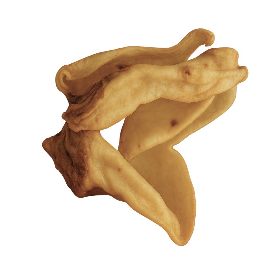Getrocknete Schweineohren, naturfarben, auf weißem Hintergrund.