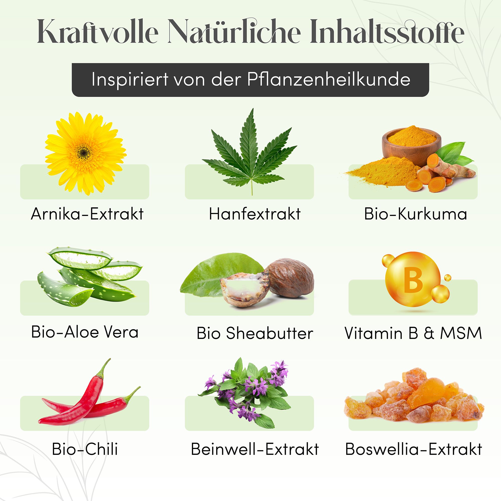 Verschiedene natürliche Inhaltsstoffe: Arnika, Hanf, Kurkuma, Aloe Vera, Sheabutter, Vitamin B & MSM, Chili, Beinwell, Boswellia.