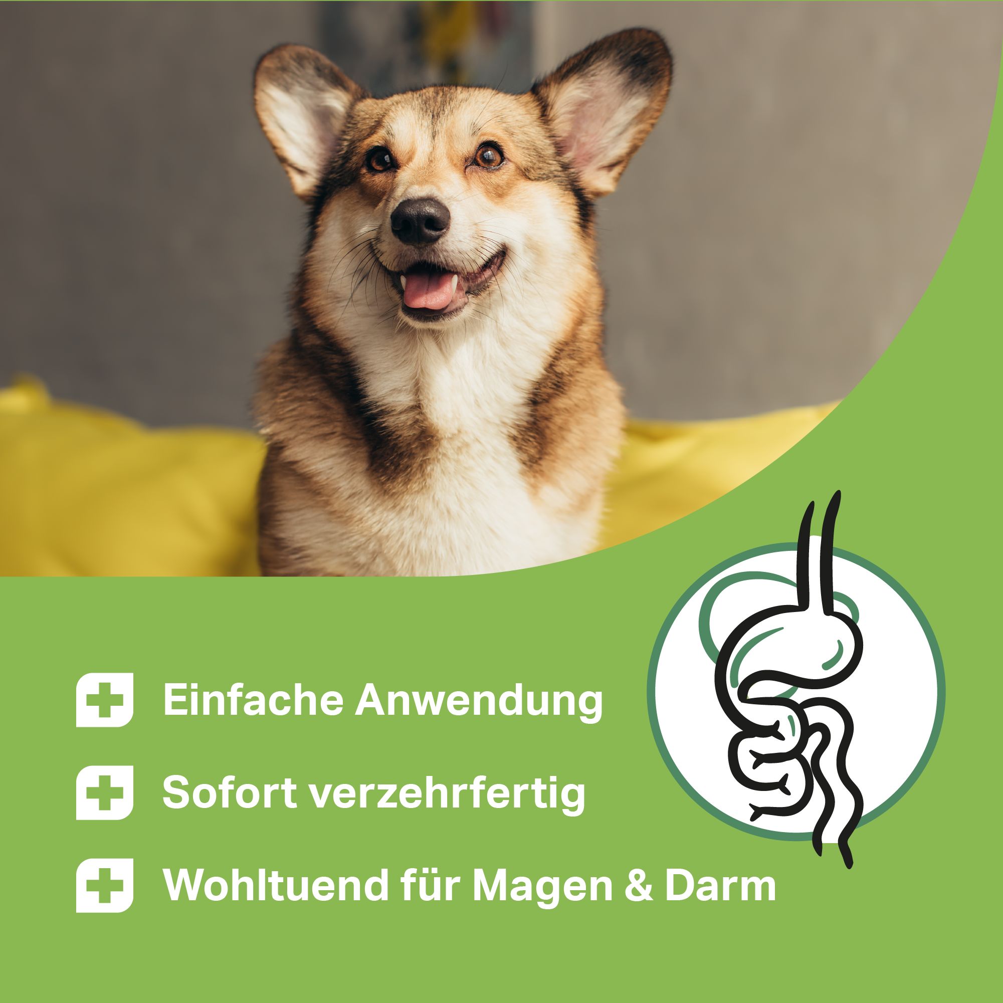 Corgi-Hund auf gelbem Kissen. Text: Einfache Anwendung, Sofort verzehrfertig, Wohltuend für Magen & Darm. Illustration: Magen-Darm-Trakt.