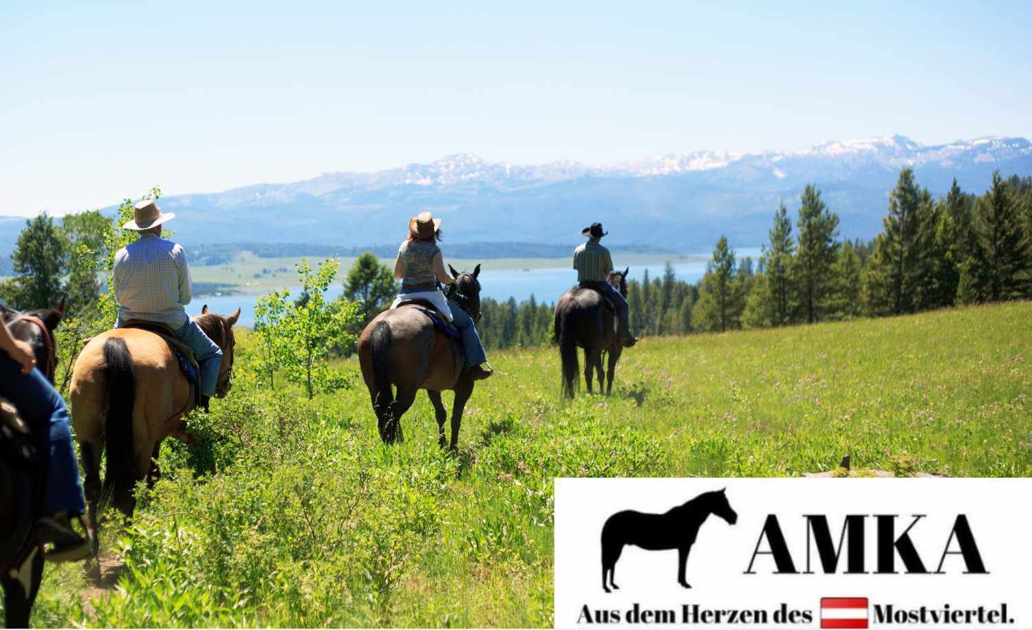 Personen reiten auf Pferden in einer grünen Landschaft. Text: AMKA Aus dem Herzen des Mostviertel.