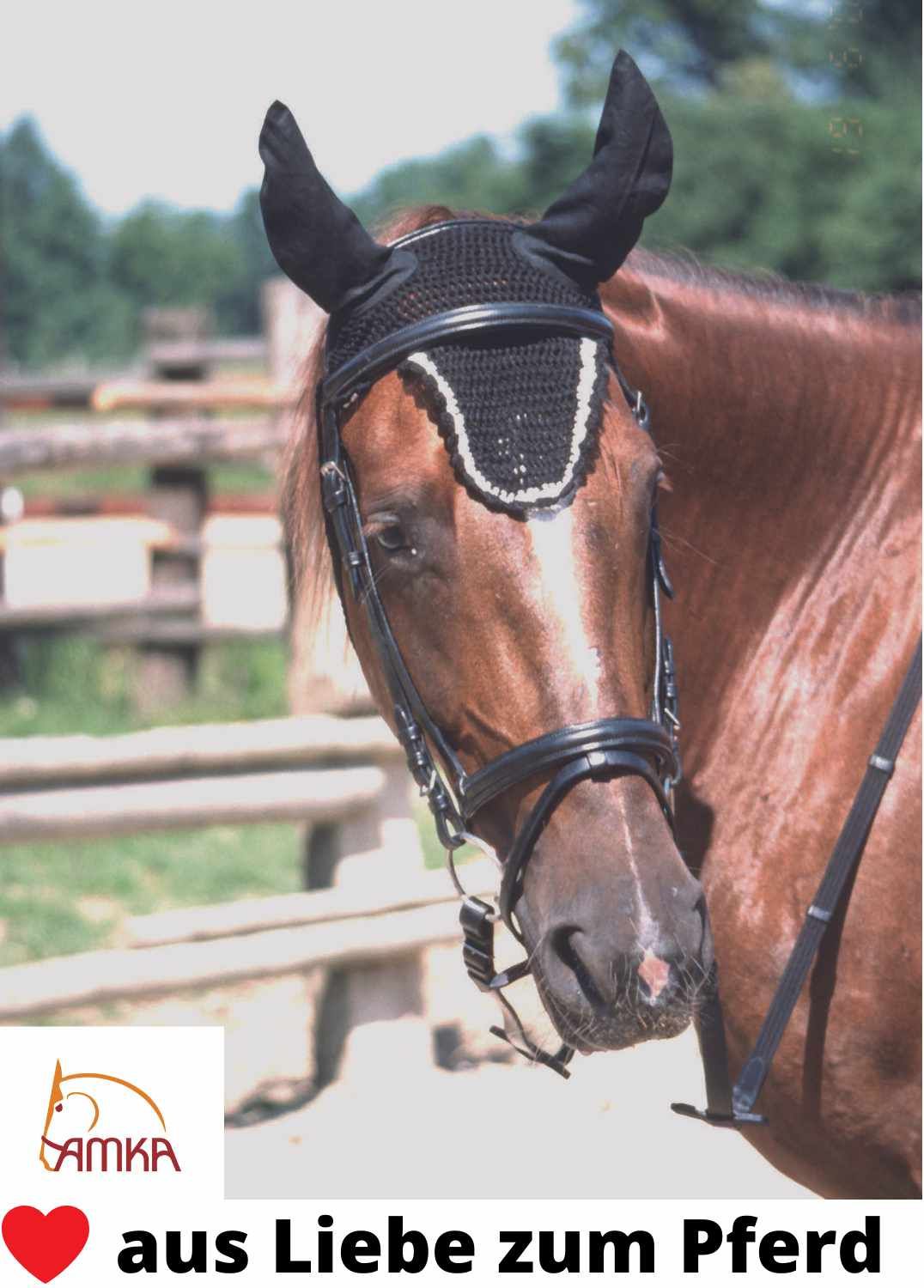 Schwarzer Fliegenfransen-Schutz am Pferdekopf. Weißer Zierstreifen. Lederhalfter. AMKA Logo.