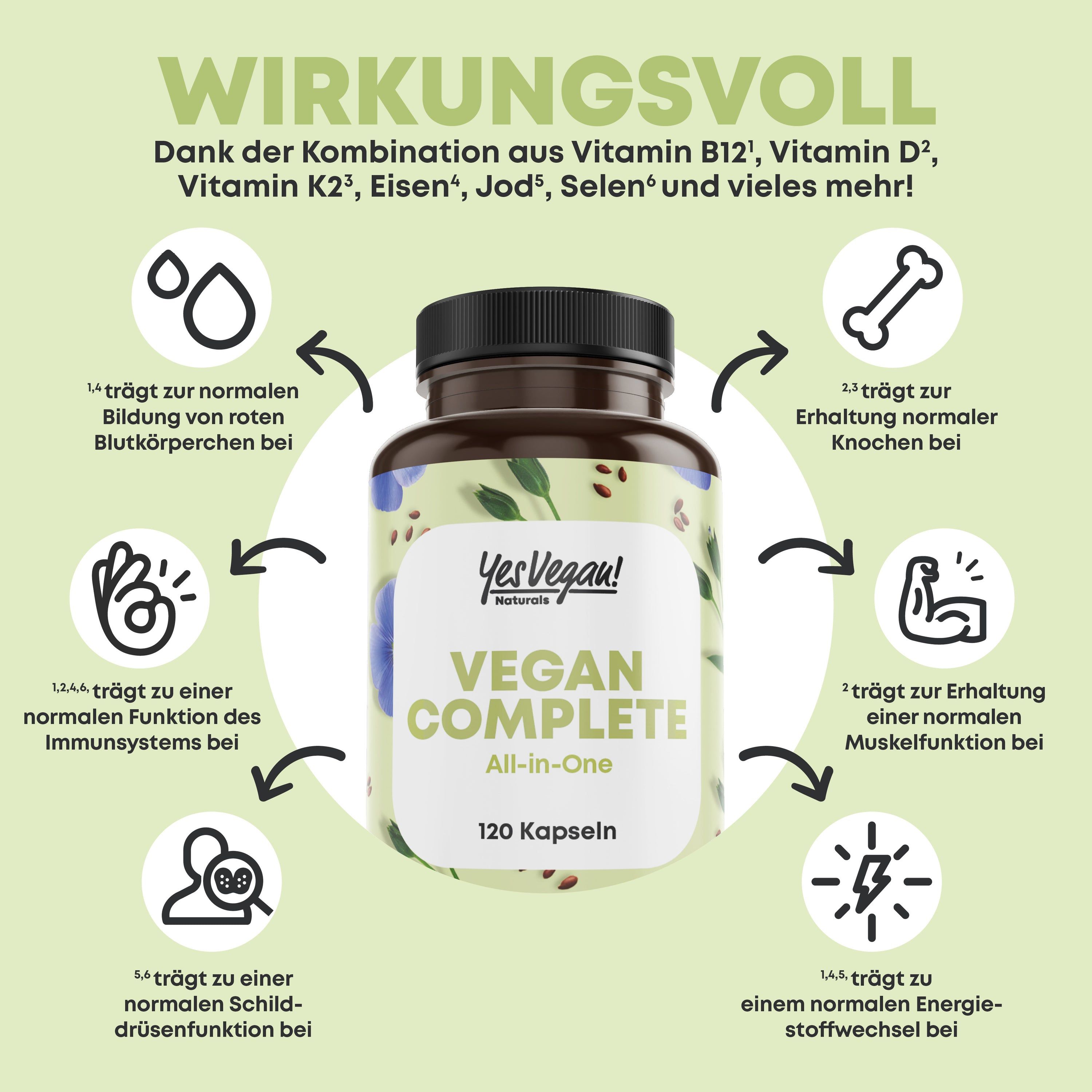 Braune Flasche mit Kapseln. Aufschrift: Vegan Complete. Diagramm mit Wirkungen auf Gesundheit. 120 Kapseln. Grün-weißes Etikett.