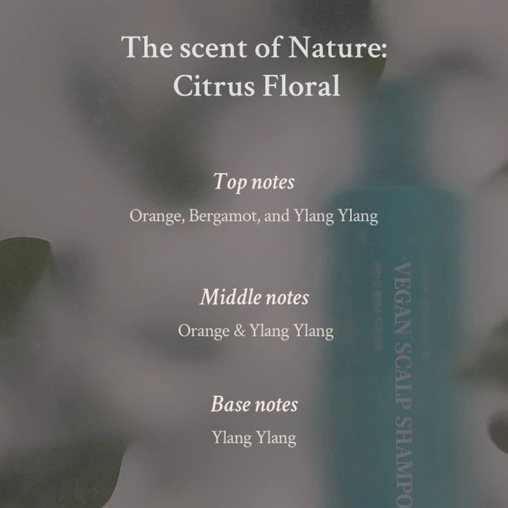 Village 11 Factory Vegan Tiefes Gleichgewicht Kopfhaut Shampoo