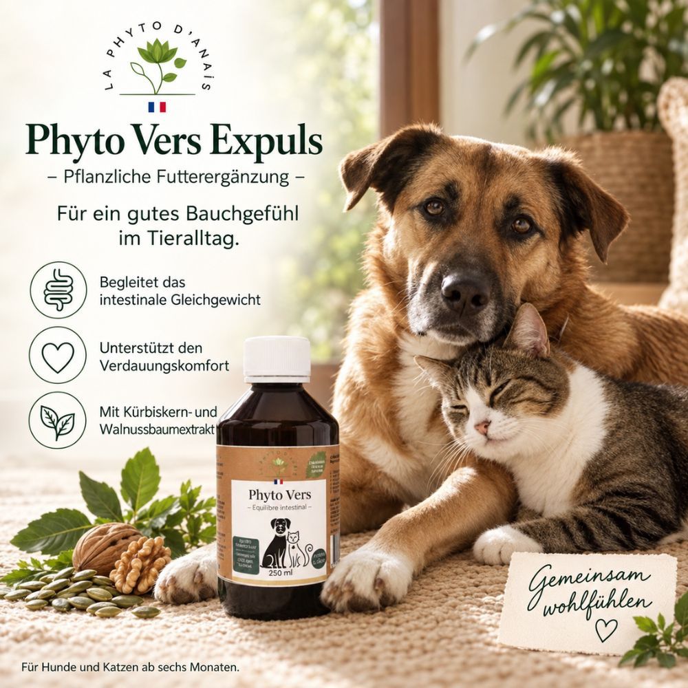 Phyto Vers Expuls für Hunde und Katzen: pflanzliche Futterergänzung für ein gutes Bauchgefühl im Tieralltag.