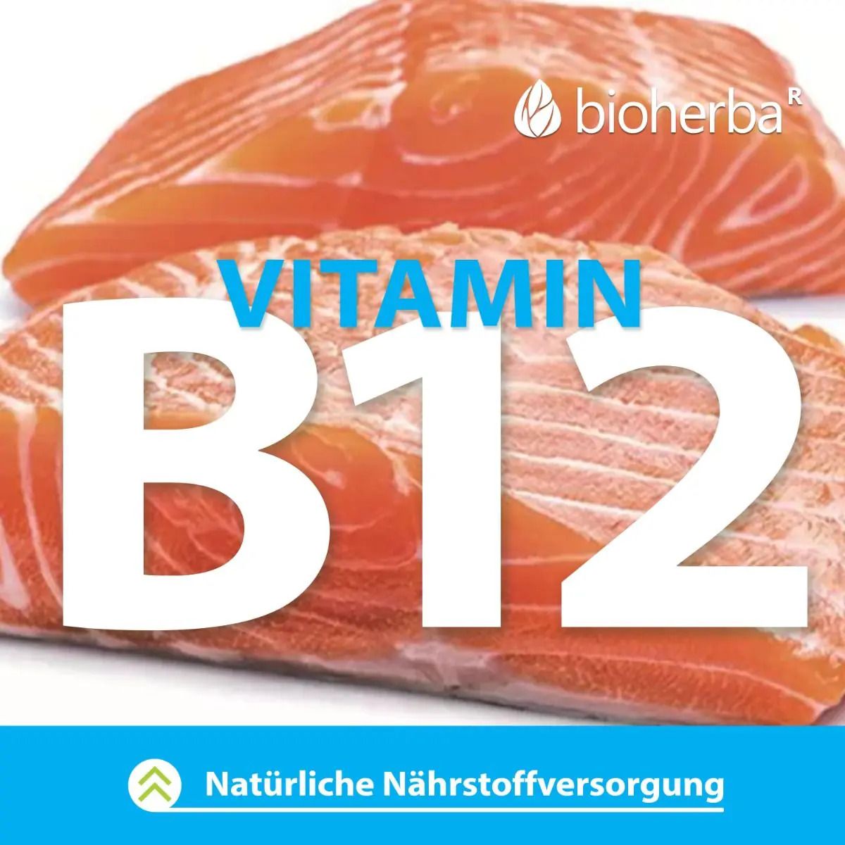 Bioherba Vitamin B12: Text überlagert zwei Scheiben Lachs, die eine natürliche Nährstoffversorgung andeuten.