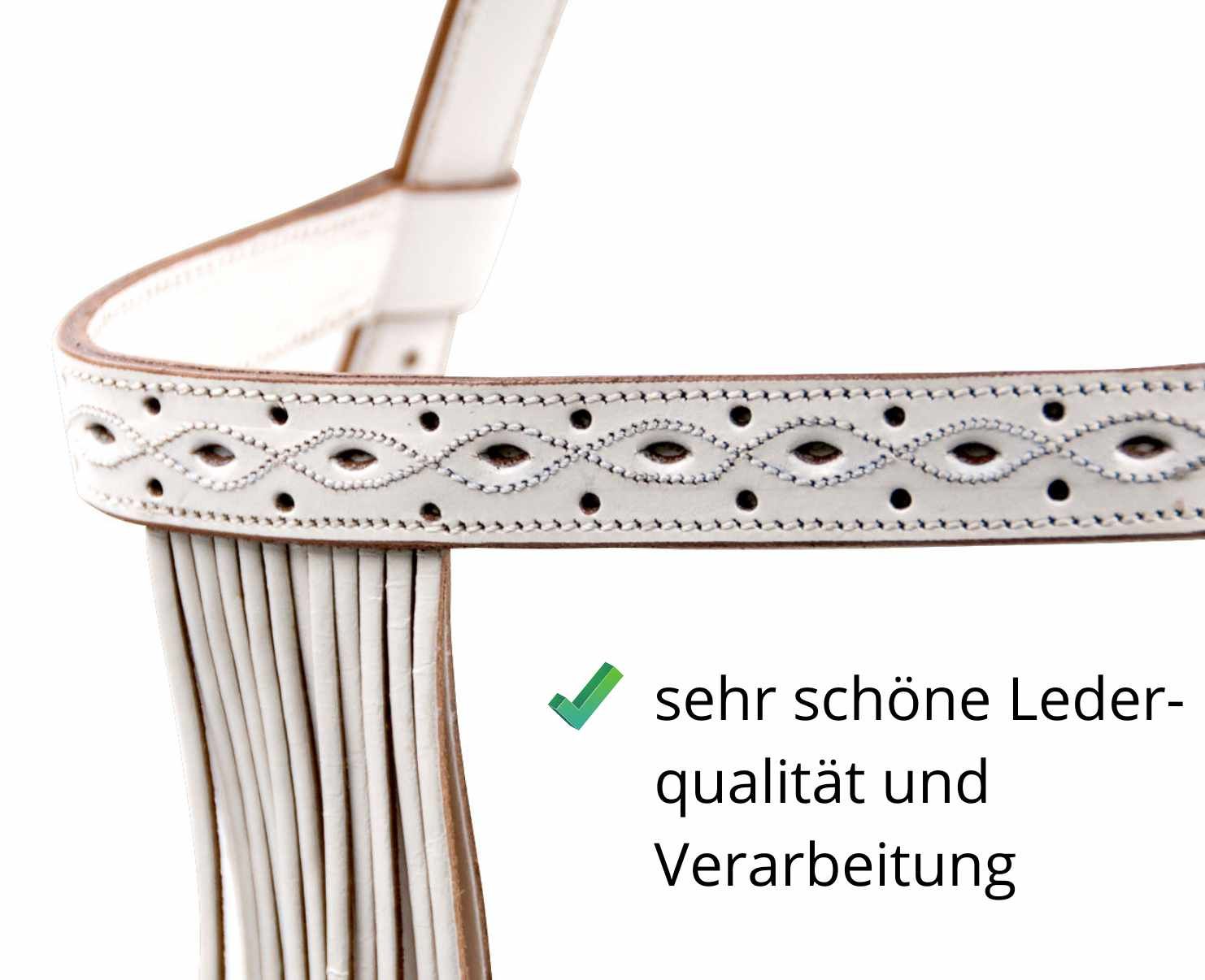 Nahaufnahme der Trense mit Fransen. Hochwertiges Leder mit feiner Verarbeitung. Detailansicht der Ziernähte.
